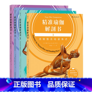 [正版]共4册套装《精准瑜伽解剖书(4册))》流瑜伽及站姿体式 身体前弯及髋关节伸展体式 身体后弯及扭转体式 身体倒立后