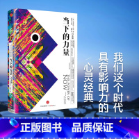 [正版] 当下的力量(白金版) 精装 埃克哈特·托利 着 身心灵 张德芬作序 出版社图书 自我励志经典之作