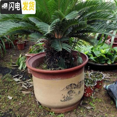 三维工匠花盆紫砂陶瓷花盆 兰花盆特大号红陶大码陶瓷盆 36+40+44+48套四 大花盆容器