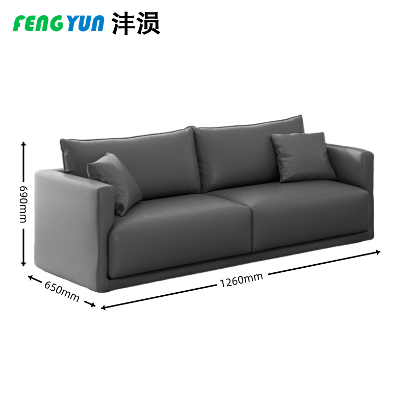 沣涢 客厅沙发 简约沙发 两人位 张