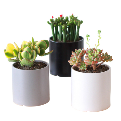 津沽园艺陶瓷花盆多肉绿植盆栽盆器磨砂亚光带底孔多肉盆高雅灰色1个