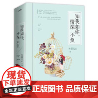 知我如你,情深不负(共2册) 叶落无心 青岛出版社 正版书籍