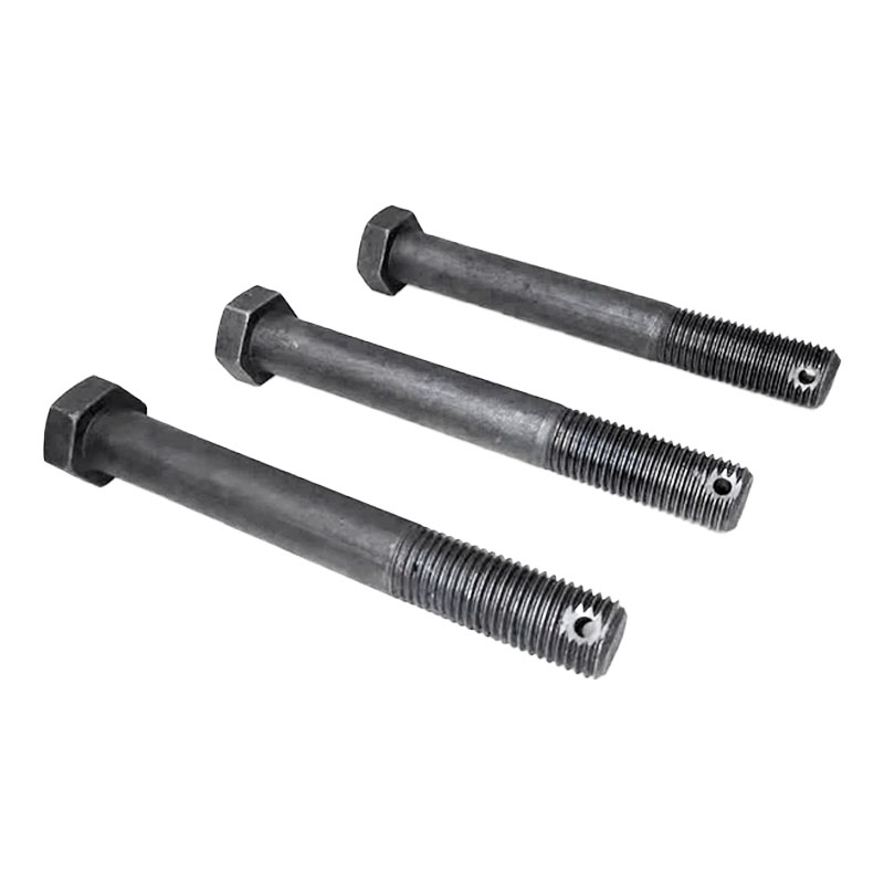 滇固 六角头带孔螺栓 4.8 M24×470mm 个