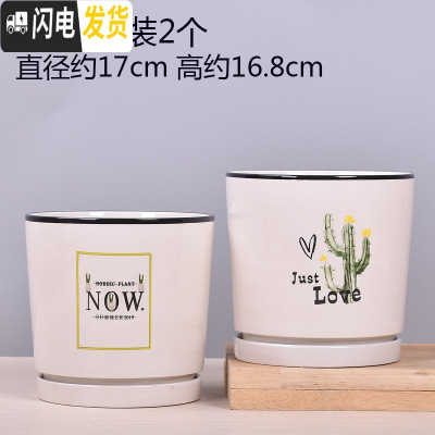 三维工匠欧式花盆陶瓷大号绿萝特大号小多肉花盆带托盘 TA07套装大号2个带托盘 中等花盆容器