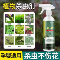 杀虫剂花卉植物花草通用非专用除红蜘蛛蚧壳虫蚜虫杀虫药多肉家用