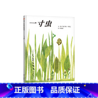 一寸虫(精装) [正版]田鼠阿佛硬壳精装绘本图画书与众不同的田鼠引导孩子多视角观察世界发现生活的浪漫与诗意适合3岁4岁5