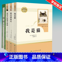[正版]九年级下我是猫契诃夫短篇小说选格列佛游记围城书原著无删减初三初中必读配套课外书经典世界名著外国文学小说人民教育