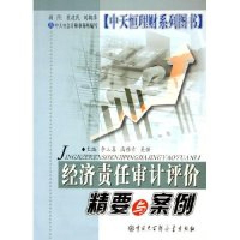 正版新书]经济责任审计评价精要与案例/中天恒理财系列图书(中天