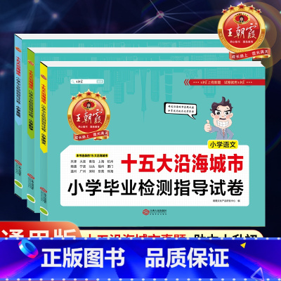 [十五大城市]语文+数学+英语 小学通用 [正版]新版王朝霞五大十大十五大城市卷小学毕业检测指导试卷精选考试语文数学英语