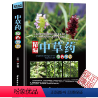 [正版]精编中草药原色图谱彩图版精装收录400种常见中草药植物特征性味功能炮制主治用法 中医养生保健医学入门书籍 中草