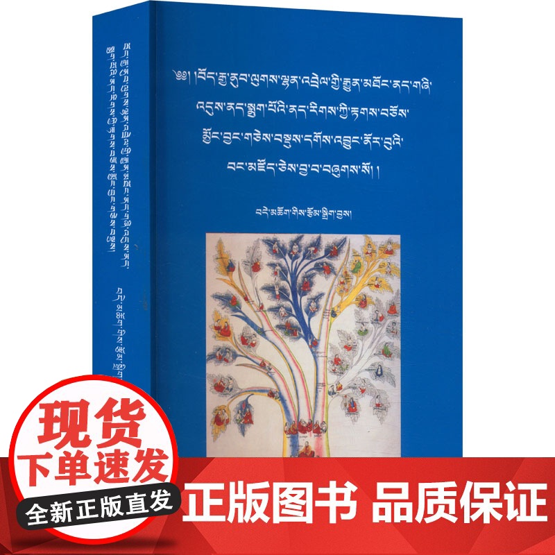 常见 木布病 的藏中西结合诊治经验 邓琼 著 语言文字文教 正版图书籍 四川民族出版社