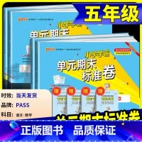 数学 人教版 五年级下 [正版]小学学霸单元期末标准卷五年级上册下册语文数学全套人教版北师大 同步训练真题模拟测试卷题考