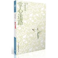 正版新书]掌心迷路/七曜文库(日)石田衣良|译者:杀楚97875534148