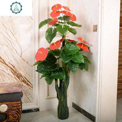 火鹤花 火鹤花推荐 苏宁易购