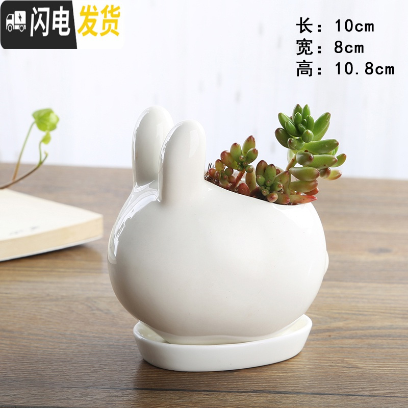 三维工匠卡通可爱萌多肉花盆小号植物白色陶瓷创意简约拇指盆 FP小白兔+托不含植物 小花盆容器