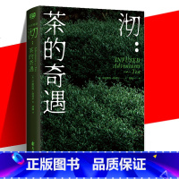 沏:茶的奇遇 [正版] 沏:茶的奇遇 带你领略茶文化的魅力与深邃 看中国的茶 茶文化 饮食文化书籍 饮茶爱茶寻茶制茶