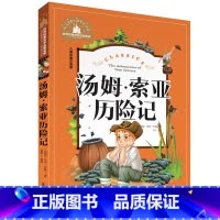 汤姆索亚历险记 [正版]小学生一二年级三年级课外阅读书籍昆虫记木偶奇遇记儿童版四大名著注音版小学生6-8-10岁童话故事