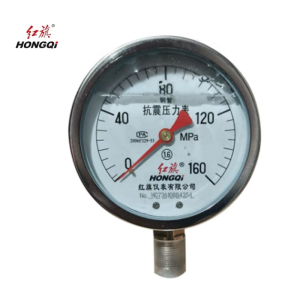 红旗 不锈钢耐震压力表定制检测款YTN100 0-160MPA 块