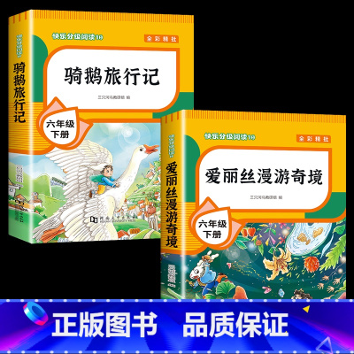 [2本]爱丽丝漫游奇境+骑鹅旅行记 [正版]全套4册 鲁滨逊漂流记六年级下册的课外书阅读原著完整版汤姆索亚历险记爱丽丝漫