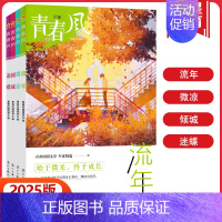 青春风-倾城 全国适用 [正版]天星教育2025版疯狂阅读青春风特辑流年+微凉+倾城+迷蝶全套4册任选中学生课外阅读成长