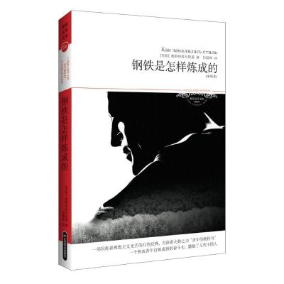 正版新书]钢铁是怎样炼成的(全译本)奥斯特洛夫斯基9787540225