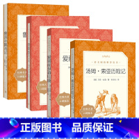 [全套4册]鲁滨孙+骑鹅+爱丽丝+汤姆索亚 [正版]鲁滨孙漂流记原著 六年级下册必课外阅读书藉 人民文学出版社完整版无删