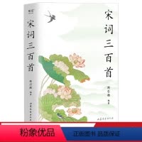 [正版]宋词三百首(2023版) 陈引驰编著 彩色插图 复旦名师版 注音注释 赏析 中小学生阅读 古诗词 文化出品
