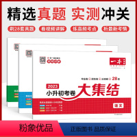 小升初考卷大集结语数英 小学升初中 [正版]2025小学知识大盘点语文数学英语基础知识大全四五六年级考试总复习资料书知识