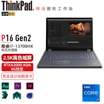 ThinkPad P16 (00CD) 英特尔酷睿i7 16英寸高性能轻薄设计师工作站笔记本电脑 定制i7-13700HX 32G 2TB RTXA2000 8G 2.5K超清