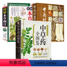 [正版]3册中草药全图鉴+中药材百科 +图解本草纲目 书籍