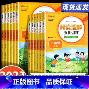 [全套2册]阅读理解上下册 二年级下 [正版]阅读理解专项训练书人教版一年级二年级三年级上册下册四五六训练题课外阅读理解