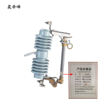 晟帝峰 跌落式熔断器 RW12-12/100A 支