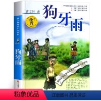 [正版]狗牙雨曹文轩书 曹文轩纯美小说系列儿童文学单本 曹文轩的书著名书籍 小学生三四五六年级课外书籍 江苏少年儿童出