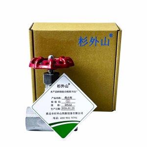 杉外山 304不锈钢丝扣截止阀水表阀门 个