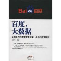 ,大数据-全球的搜索引擎,的中文网站
