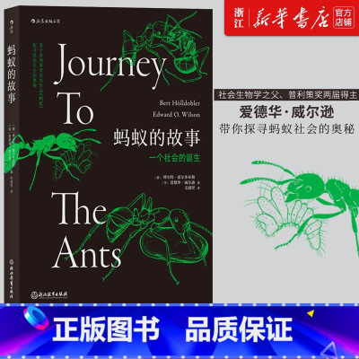 [正版]书店 蚂蚁的故事 插图普利策奖书目灵感动物科普百科生物多样性昆虫研究书籍 后浪 书店书籍