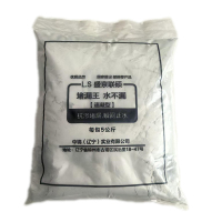 盛京联硕 堵漏王 快干水泥砂浆防水补漏剂卫生间屋顶快速堵漏剂 速凝型 5公斤/袋