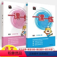 三年级语文上下册共2册 小学通用 [正版]一课一练一年级上册语文数英语二三四五六下人教版RJ全国同步练习册华东师大版课前