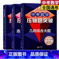 [正版]2022中考数学压轴题突破几何综合大题/选择填空压轴小题/坐标系内的几何代数综合大题 初中数学七八九年级中考数