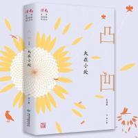 正版新书]大在小处:凸凹自选集凸凹9787226057117