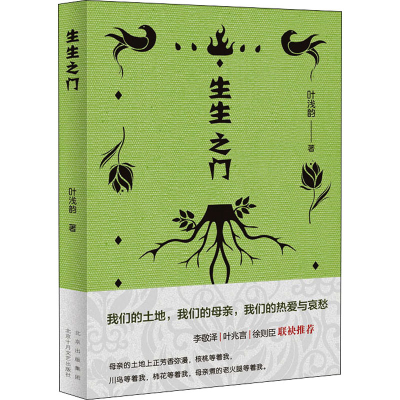 正版新书]生生之门叶浅韵9787530221983