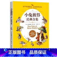 [正版]彼得兔经典故事全集 彼得兔的故事绘本和他的朋友们的奇遇记 6-14岁儿童文学读物 小学初中全彩英国经典童话故事