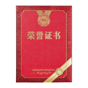齐心 C5101N 特种纸荣誉证书 6K 红 单本装