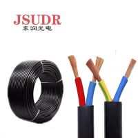 JSUDR东润护套线100米卷 ZR-RVV2*4平方 颜色可选 +卷