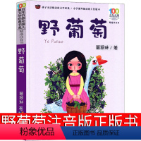 野葡萄 [正版]野葡萄注音版葛翠琳一年级二年级必读课外书全彩美绘版儿童读物6-7-8-10岁少儿书籍一二年级儿文学阅读童