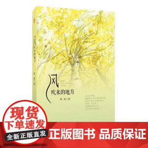 风吹来的地方