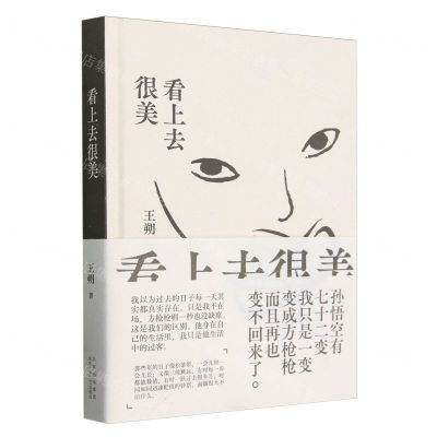 [N]看上去很美(精)-9787530222881