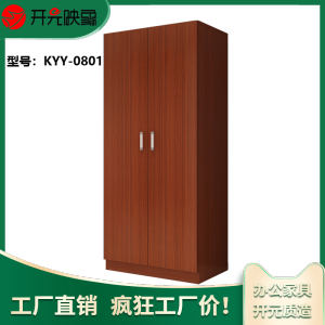 开元映象简约现代家居办公储物存包经济大空间两门衣柜KYY-0801