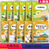 [语文+数学]专项训练(全11册) 二年级上 [正版]荣恒 小学二年级上册语文数学书专项训练全套课堂同步练习册人教版句子