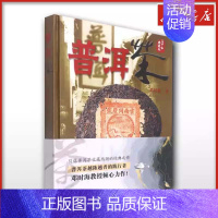 中国白茶 [正版]普洱茶 邓时海 著 茶类书籍生活普洱帝国茶叶密码中国白茶 文轩书店图书书籍书 云南科技出版社